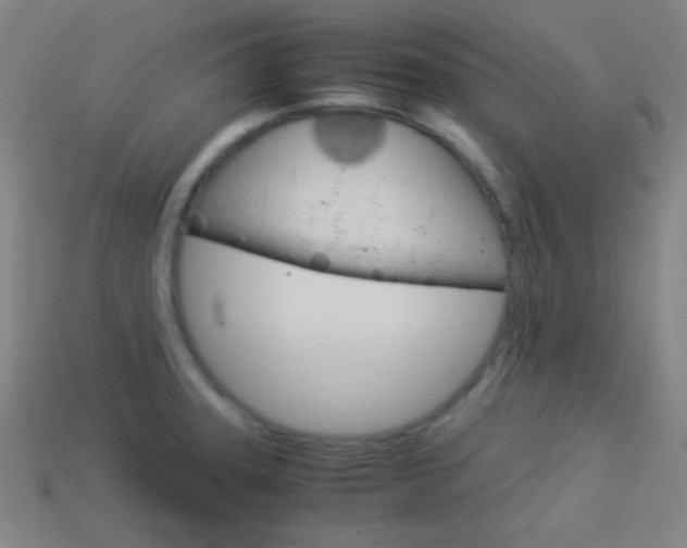 X0000114151331200910081105