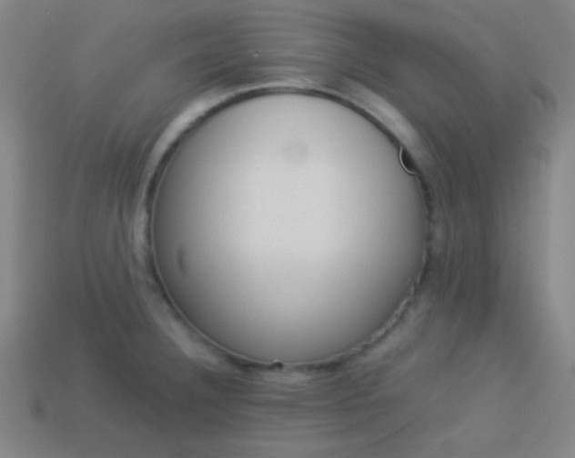 X0000114151332200910081105