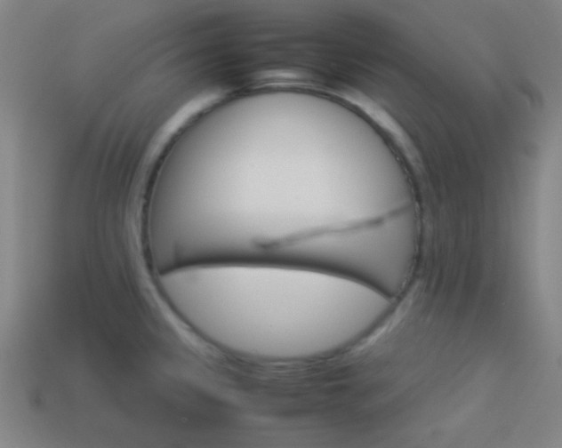 X0000114151333200910081105