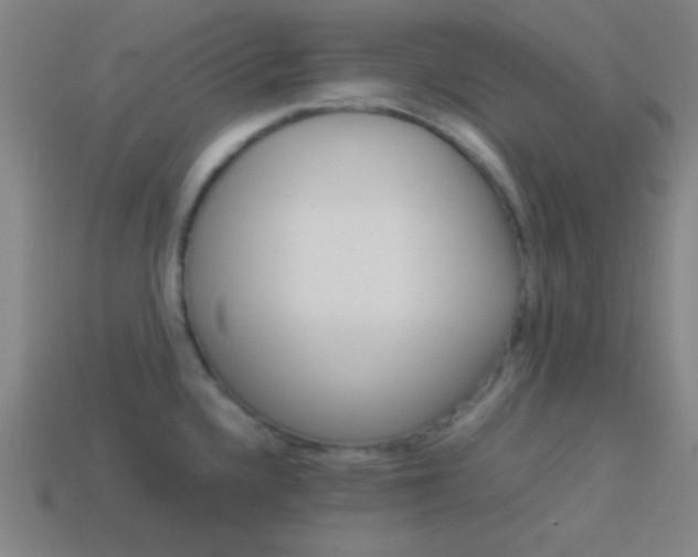 X0000114151336200910081105