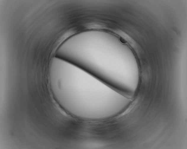 X0000114151337200910081105