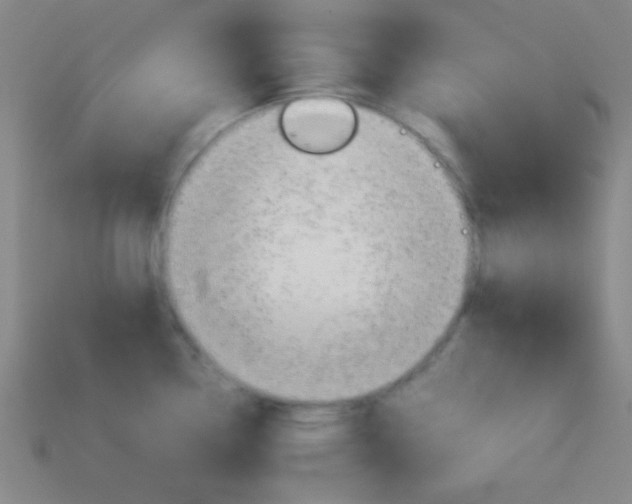X0000114151338200910081105