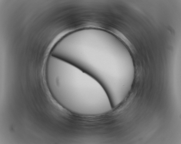 X0000114151339200910081105