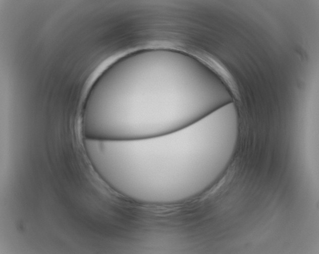 X0000114151340200910081105