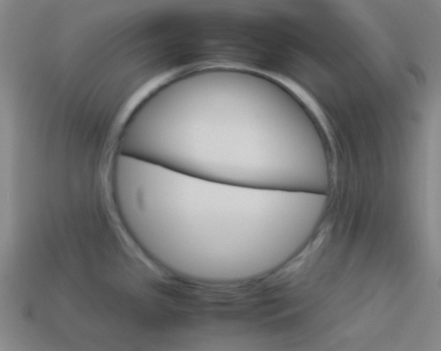 X0000114151341200910081105