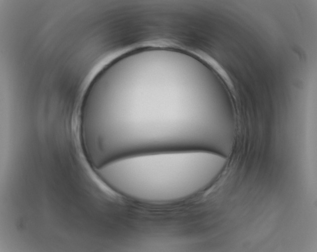 X0000114151343200910081105