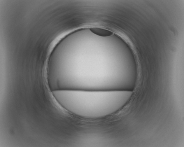 X0000114151344200910081105