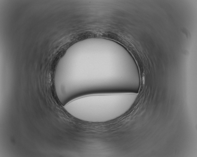 X0000114151347200910081104