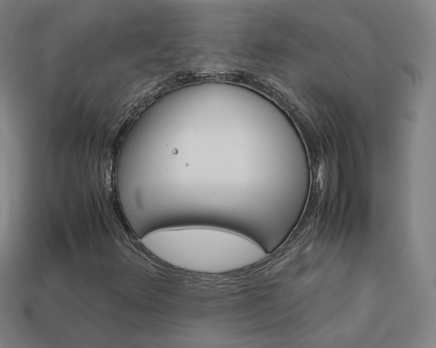 X0000114151348200910081104