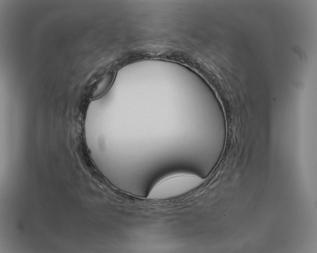 X0000114151349200910081104