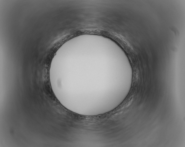 X0000114151350200910081104