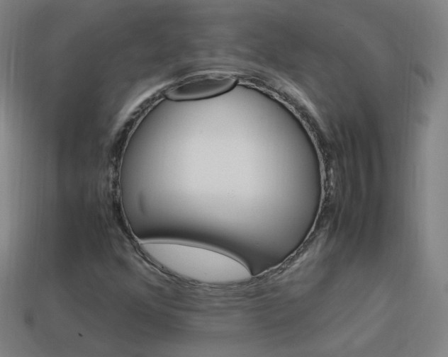 X0000114151352200910081104
