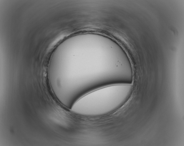 X0000114151355200910081104