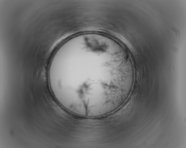 X0000114151356200910081104