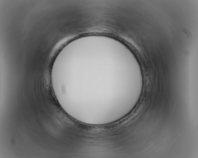 X0000114151358200910081104