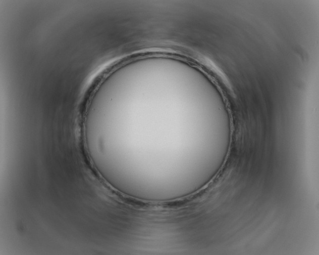 X0000114151360200910081104