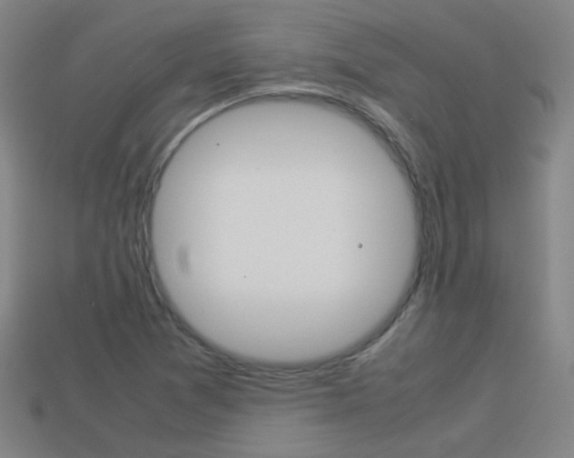X0000114151361200910081104