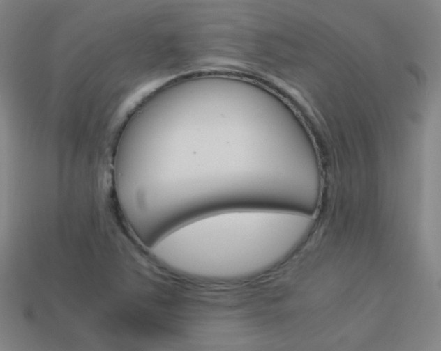 X0000114151363200910081104