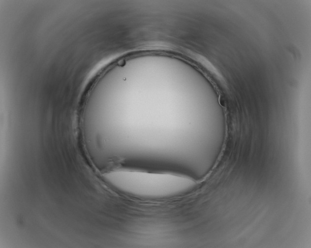 X0000114151364200910081104