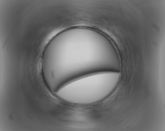 X0000114151367200910081104