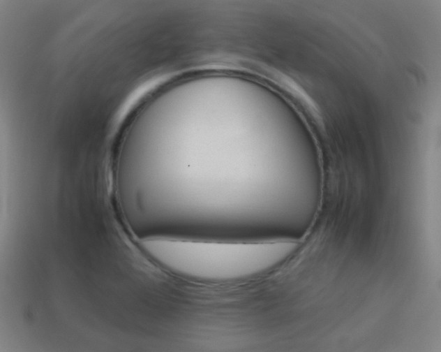X0000114151368200910081104
