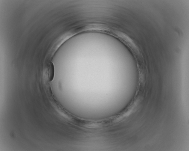 X0000114151369200910081104