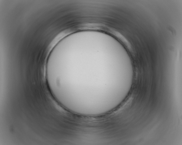 X0000114151370200910081104