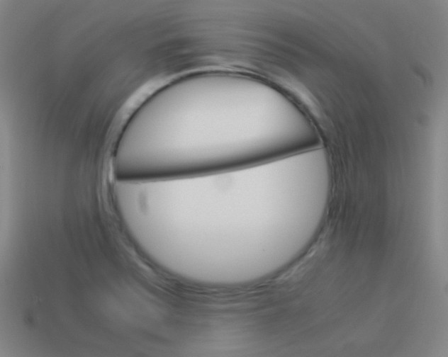 X0000114151371200910081104