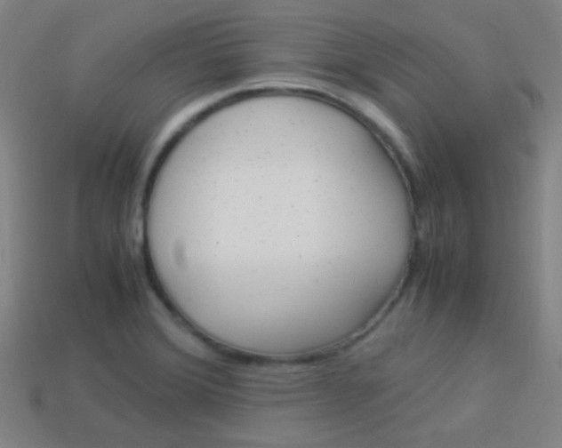 X0000114151372200910081104