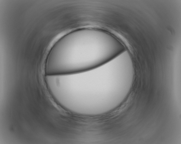 X0000114151375200910081104