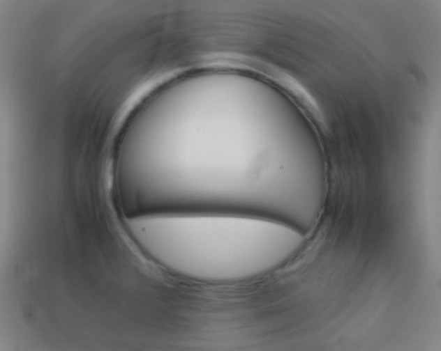 X0000114151376200910081104