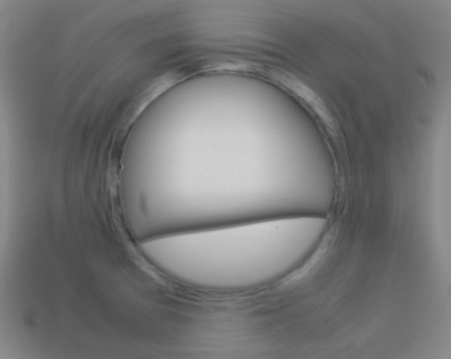 X0000114151377200910081104