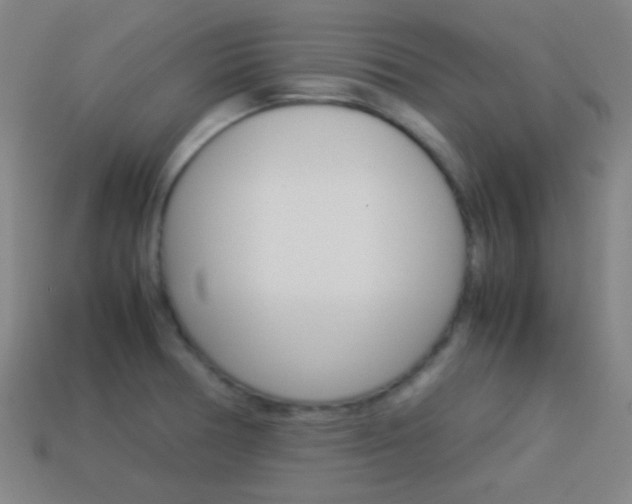 X0000114151378200910081104