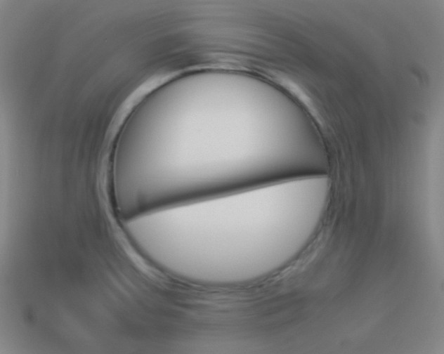 X0000114151379200910081104