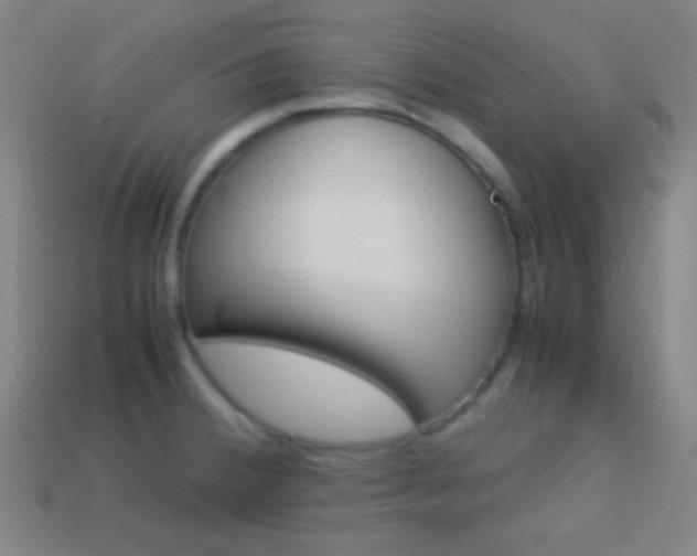 X0000114151380200910081104