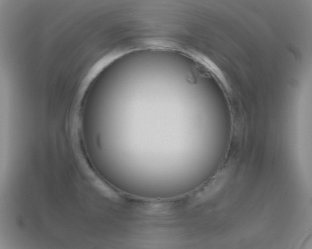 X0000114151381200910081104