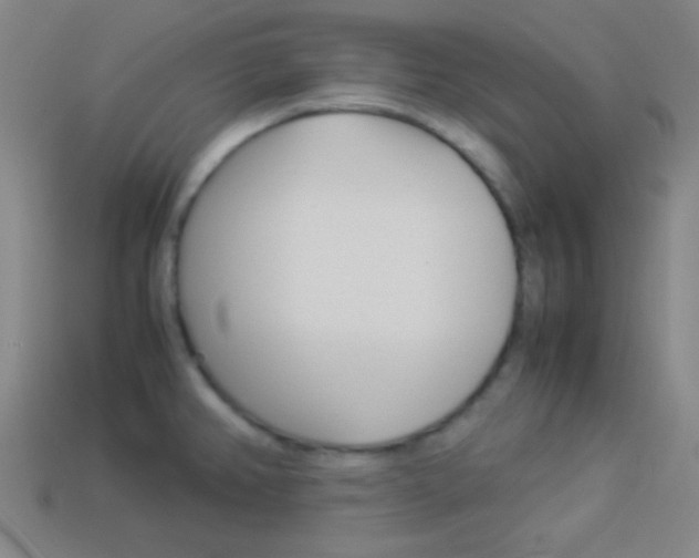 X0000114151382200910081104