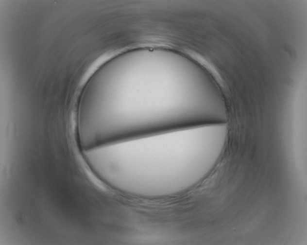 X0000114151383200910081104