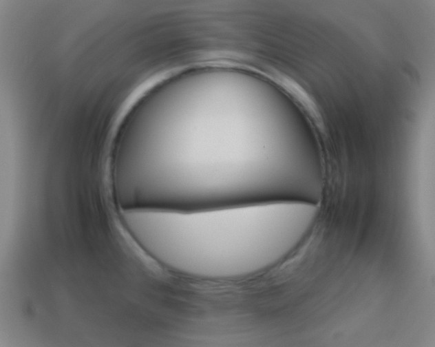 X0000114151384200910081104