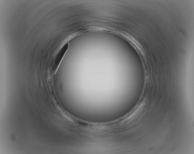 X0000114151385200910081104