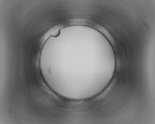 X0000114151386200910081104