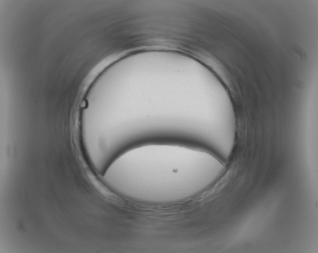 X0000114151387200910081104