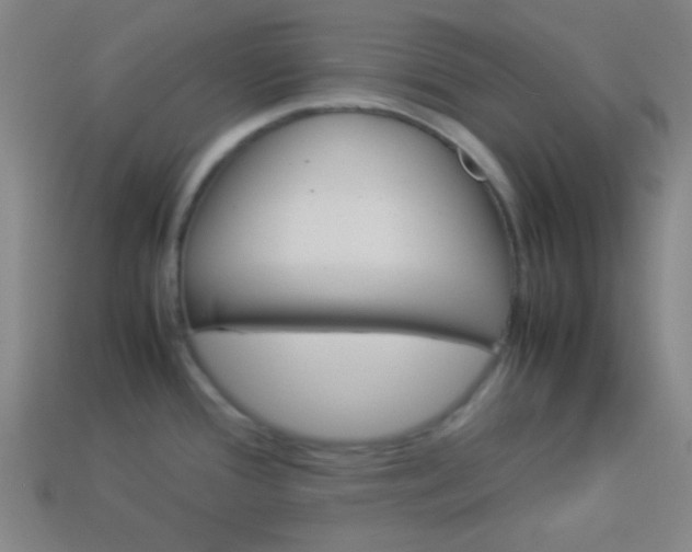 X0000114151388200910081104