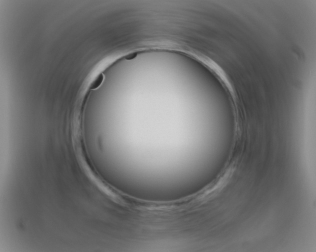 X0000114151389200910081104