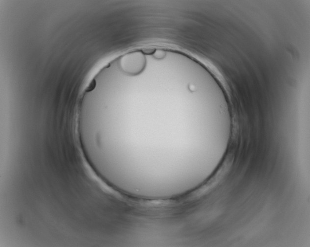 X0000114151390200910081104