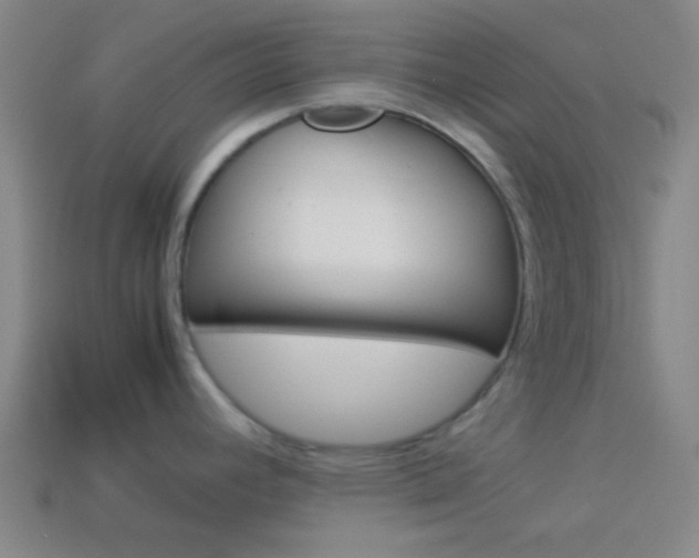 X0000114151392200910081104