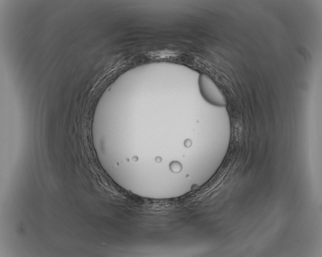 X0000114151393200910081103
