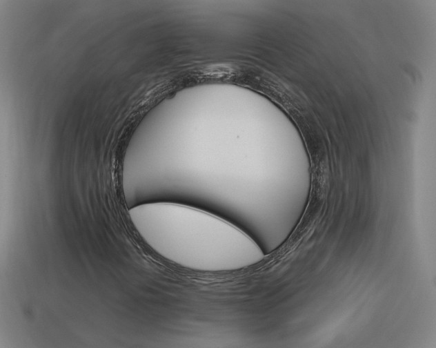 X0000114151394200910081103