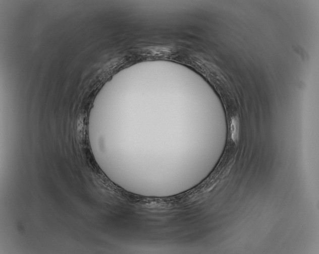 X0000114151395200910081103