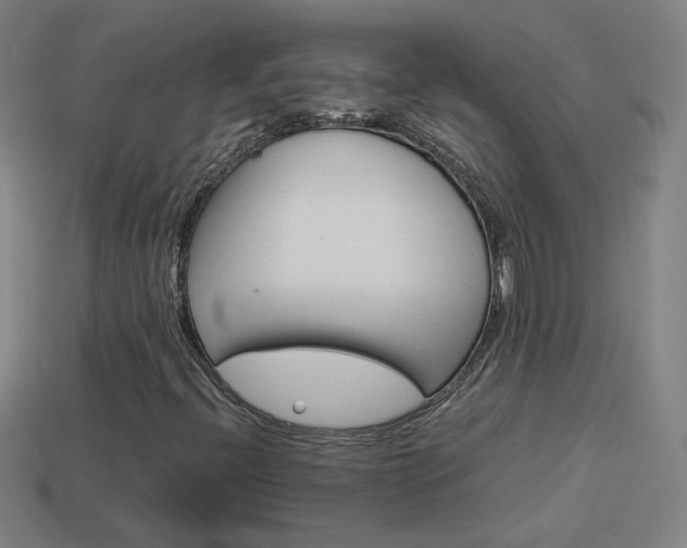 X0000114151396200910081103